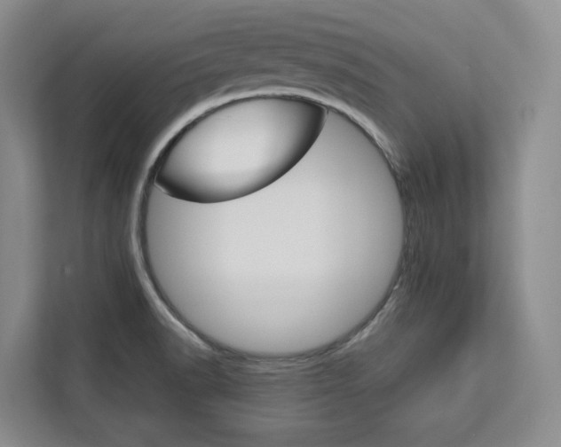 X0000113081518200908280937