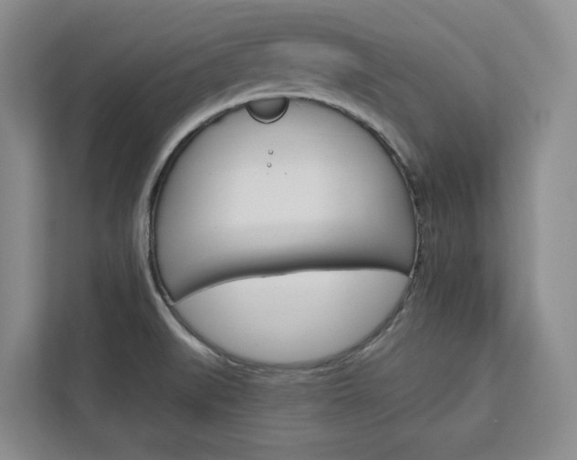 X0000113081519200908280937