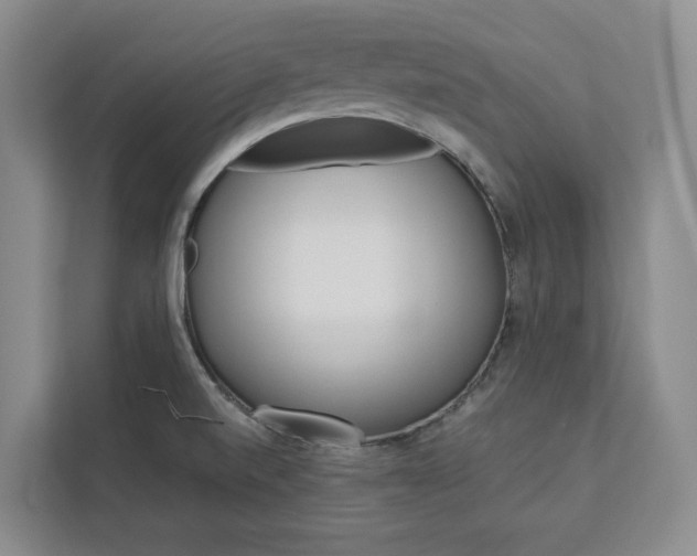 X0000113081520200908280937