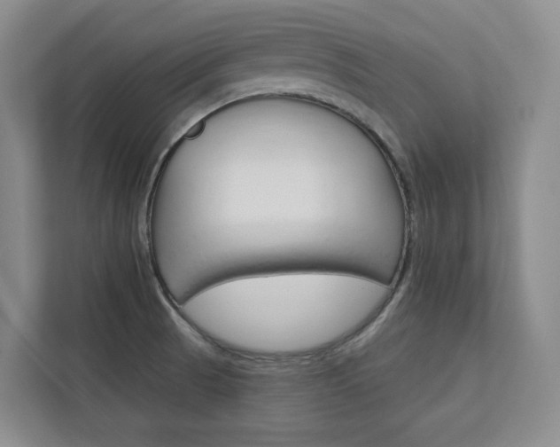 X0000113081521200908280937