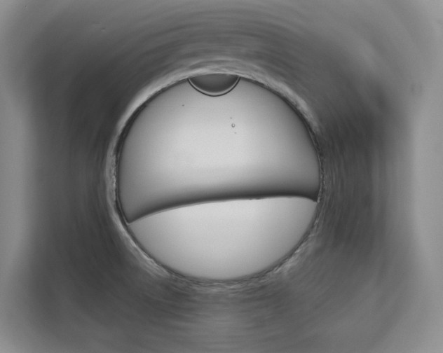 X0000113081522200908280937