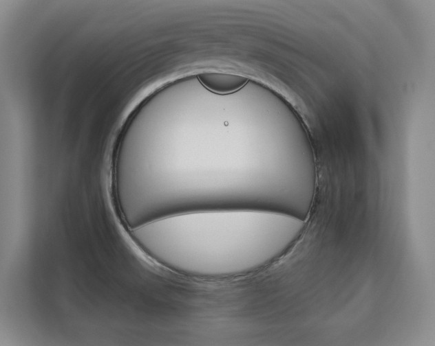 X0000113081523200908280937