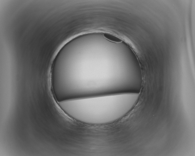 X0000113081524200908280937