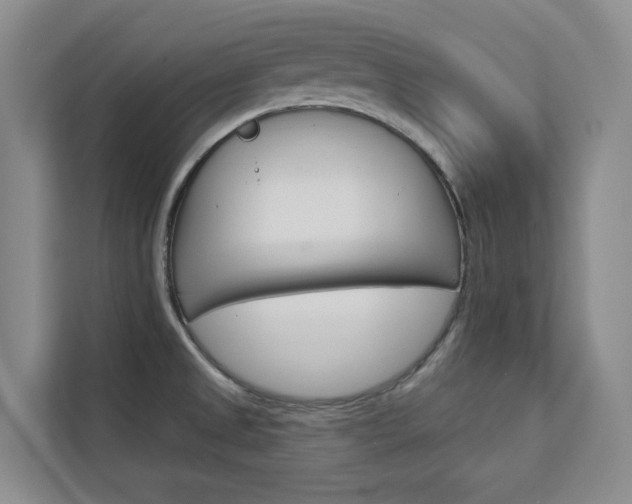 X0000113081525200908280937