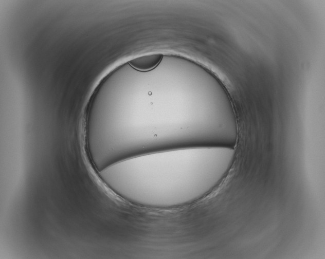 X0000113081526200908280937