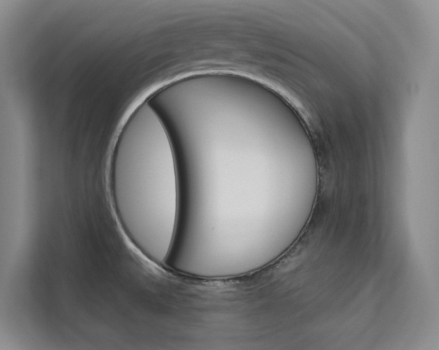 X0000113081527200908280937