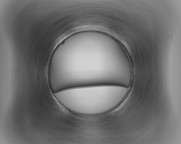 X0000113081529200908280937