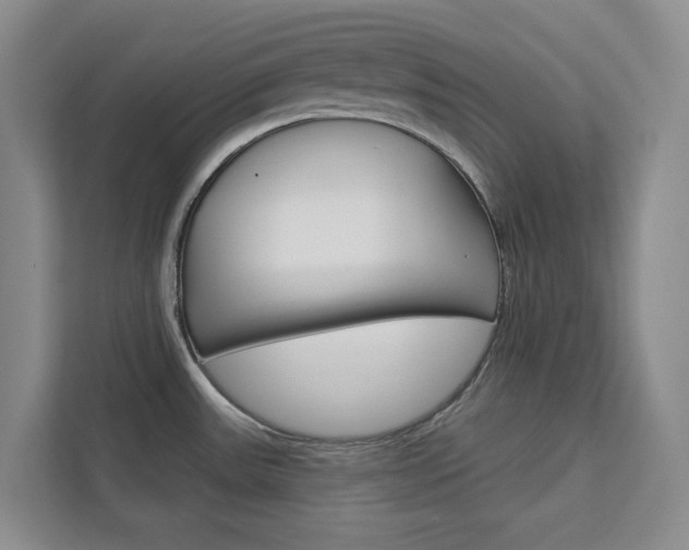 X0000113081531200908280937