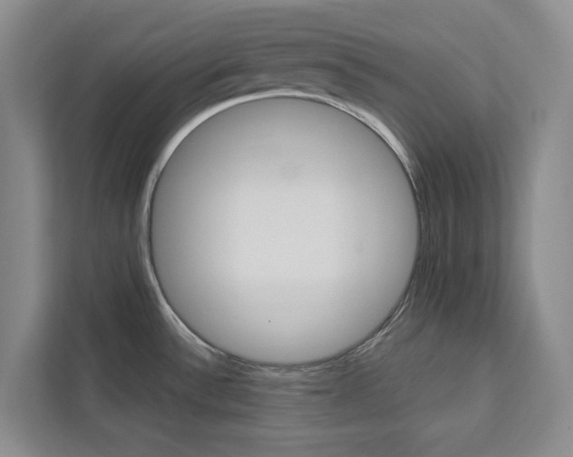 X0000113081532200908280937
