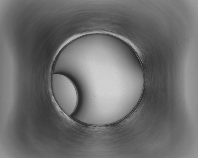 X0000113081534200908280937