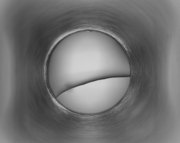 X0000113081535200908280937