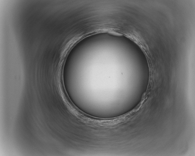 X0000113080001200908281232