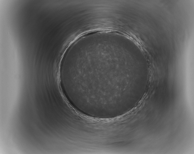 X0000113080002200908281232