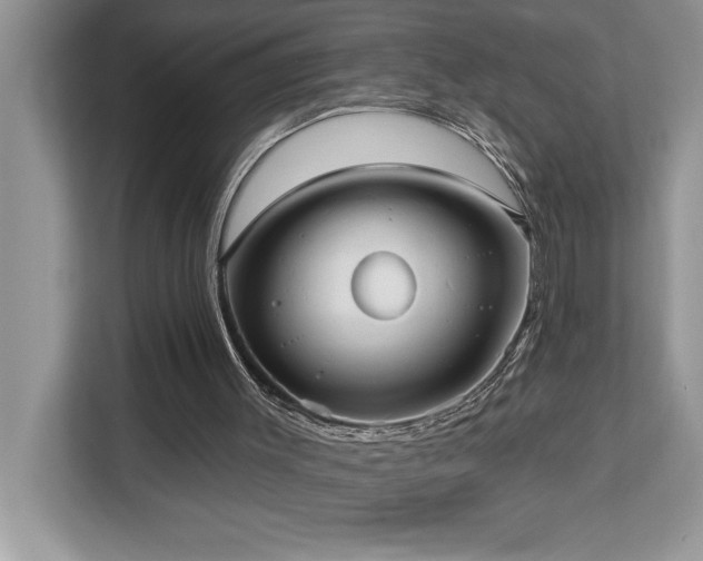 X0000113080003200908281232