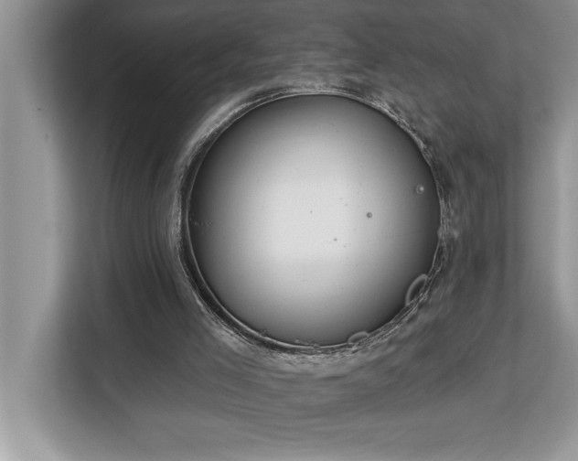 X0000113080005200908281232