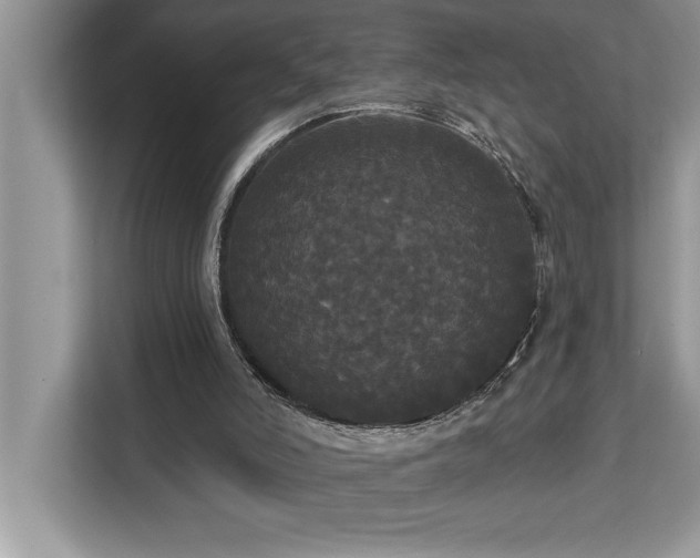 X0000113080006200908281232