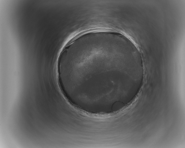 X0000113080008200908281232