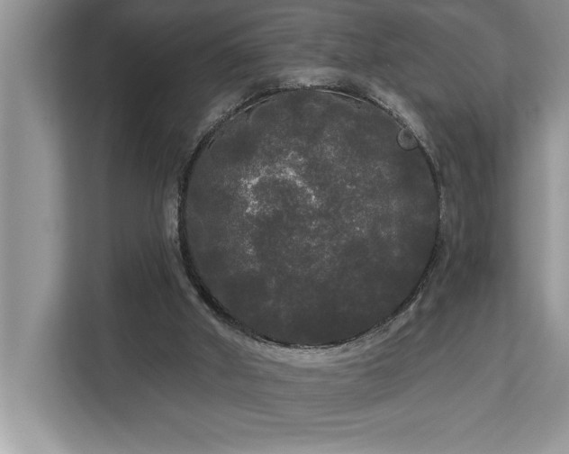 X0000113080010200908281232