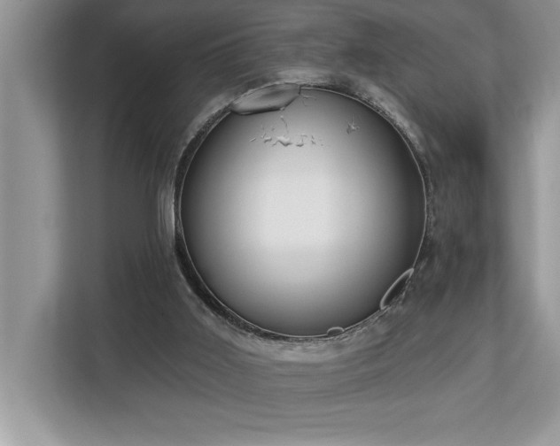 X0000113080011200908281232