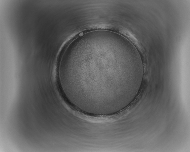 X0000113080012200908281232