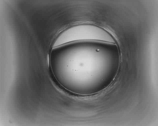 X0000113080013200908281232