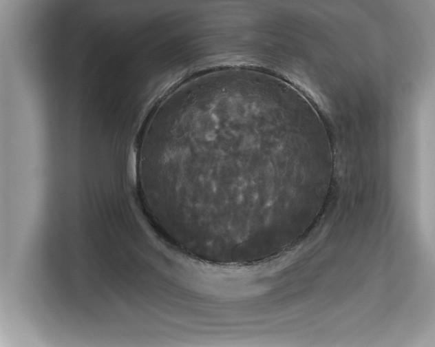 X0000113080014200908281232