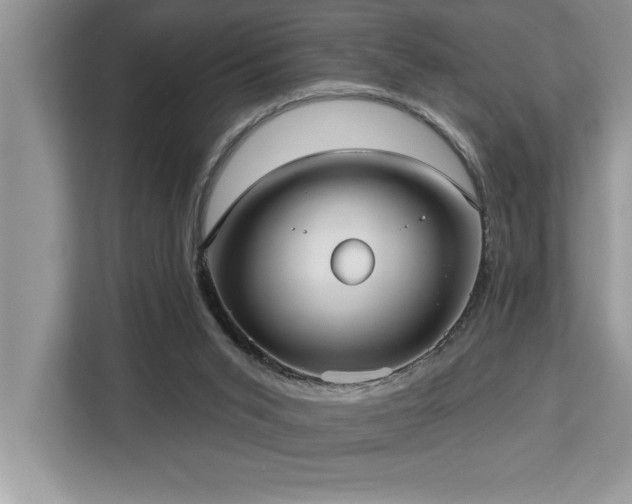 X0000113080015200908281232