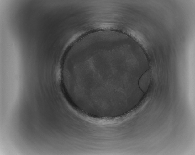 X0000113080016200908281232