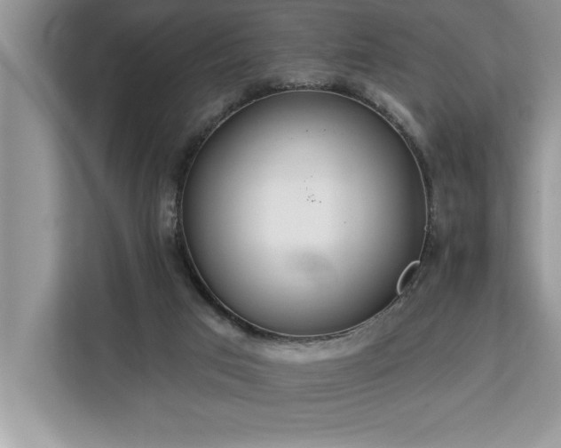 X0000113080017200908281232