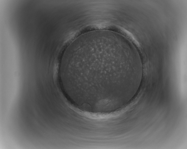 X0000113080018200908281232