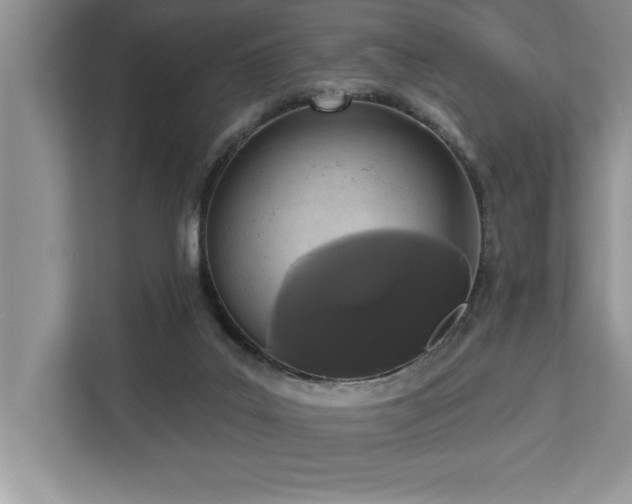 X0000113080019200908281232