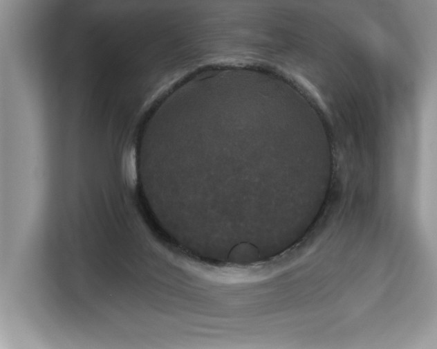 X0000113080020200908281232