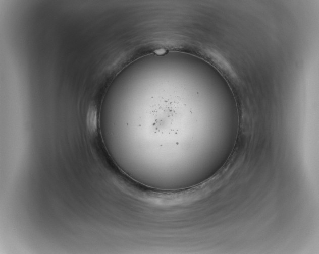 X0000113080021200908281232