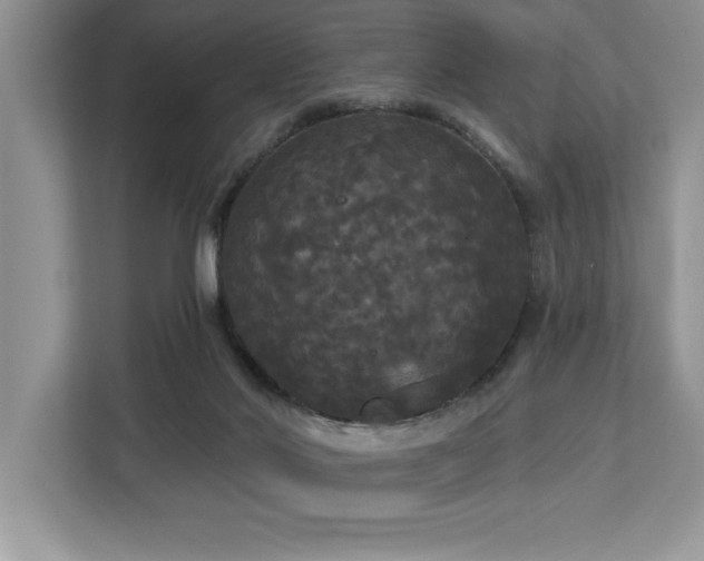 X0000113080022200908281232