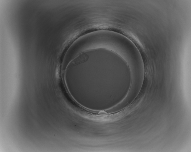 X0000113080023200908281232