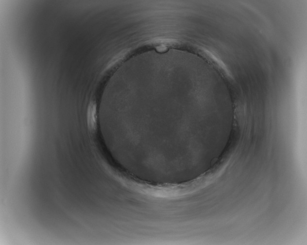 X0000113080024200908281232