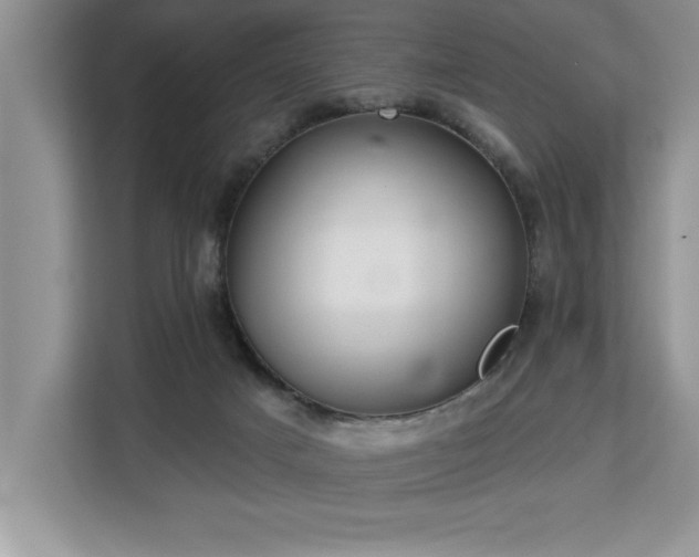 X0000113080025200908281232