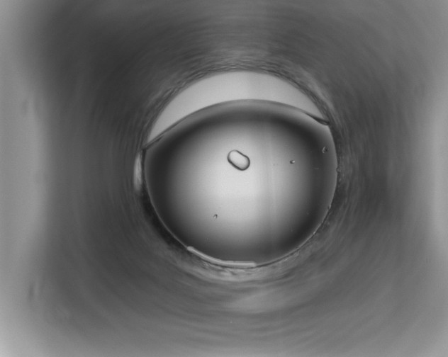 X0000113080027200908281232