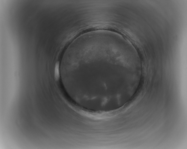 X0000113080028200908281232