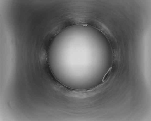 X0000113080029200908281232