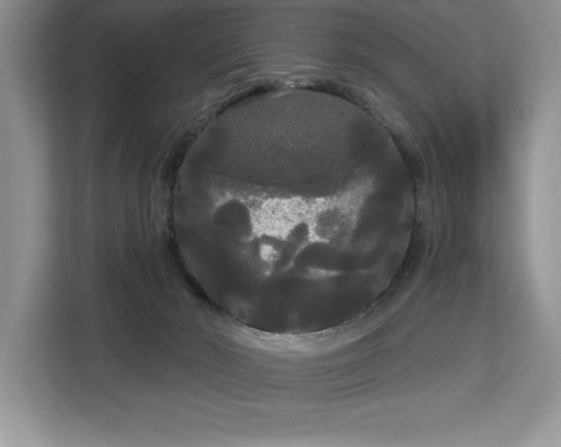 X0000113080030200908281232