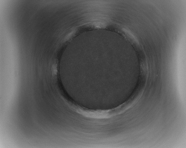 X0000113080032200908281232