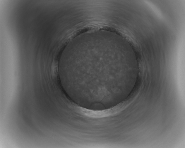 X0000113080034200908281232