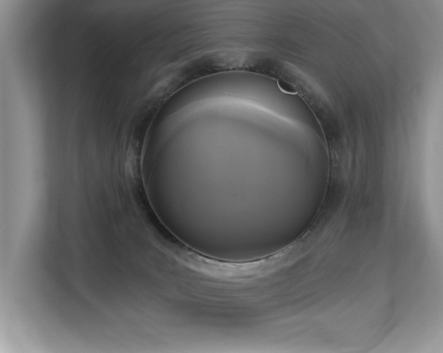 X0000113080035200908281232