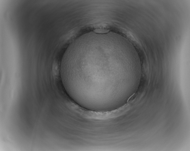 X0000113080037200908281232