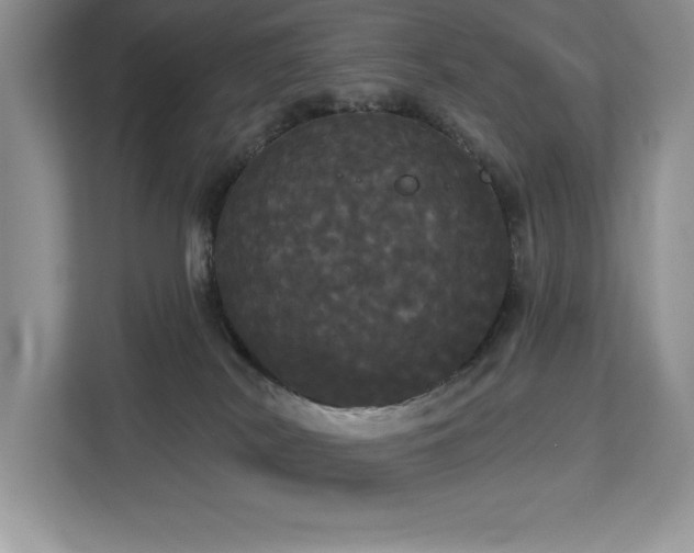 X0000113080038200908281232