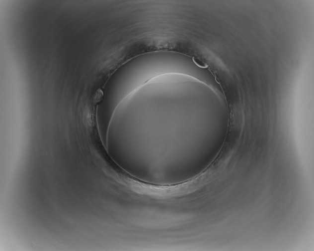 X0000113080039200908281232