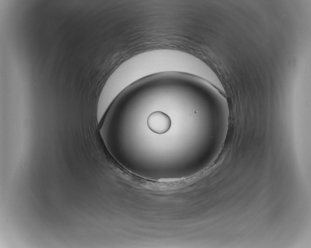 X0000113080041200908281232