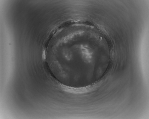 X0000113080042200908281232