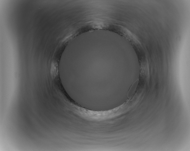 X0000113080043200908281232